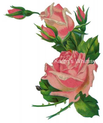 Valentine Roses 8 - Faded Pink Roses