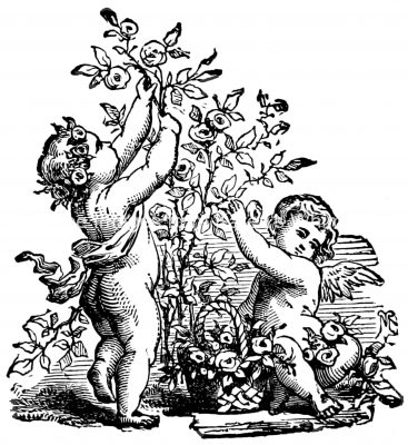 Pictures of Cupid 3 - Gathering Rosebuds