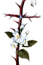 Easter Cross 4 - Rose Thorn Cross