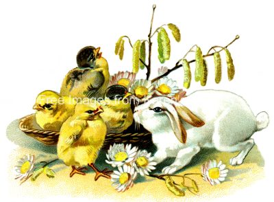 Easter Bunny Pictures 1 - Bunny with Chicks