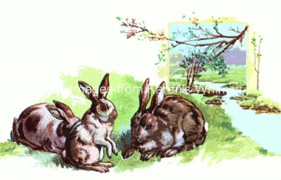 Easter Bunnies 1 - Bunnies in a Meadow
