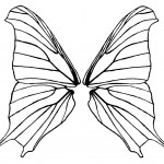 Butterfly Wings 3 - Duke of Burgandy