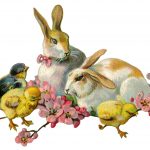 Bunny Pictures 3 - Bunnies with Chicks
