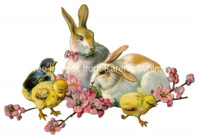 Bunny Pictures 3 - Bunnies with Chicks