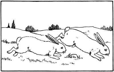 Cartoon Bunny 5 - Running in the Meadow