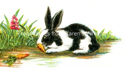 Bunny Rabbits 5 - Bunny Nibbles Carrot