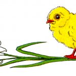 Easter Graphics 2 - Chick and Flower