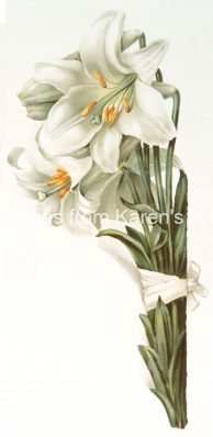 Easter Lilies 1