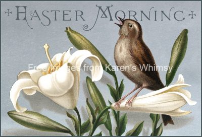 Easter Lilies 2
