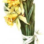 Easter Flowers 8 - Yellow Daffodils