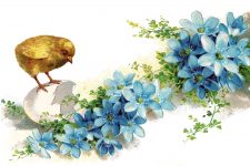 Easter Egg Clipart 5 - Chick and Blue Flowers