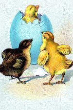 Easter Chicks 4 - Breaking Loose