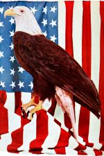 Patriotic Pictures 5 - Eagle and Flag