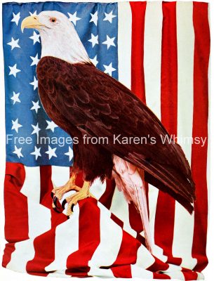 Patriotic Pictures 5 - Eagle and Flag