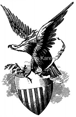 American Flag Eagle 2
