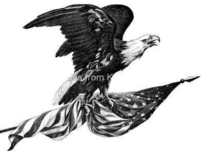 American Flag Eagle 6