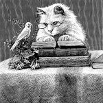 Animals Reading 5 - Cat and Canary