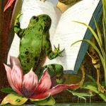 Animals Reading 9 - Frog in a Pond