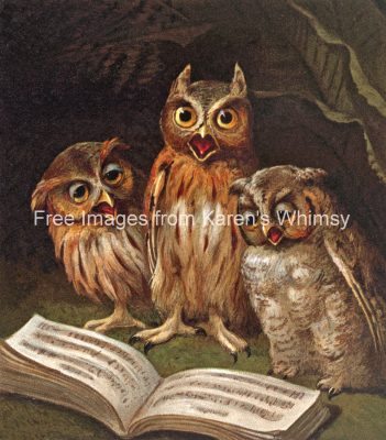 Animals Reading 1 - Owls Singing