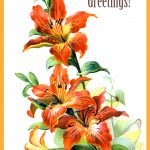 Birthday Flowers 1 - Orange Lilies