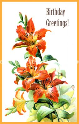 Birthday Flowers 1 - Orange Lilies