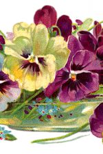 Floral Arrangements 5 - Bowl of Pansies