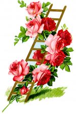 Floral Design 3 - Roses Climb Ladder