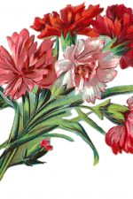 Floral Design 5 - Pink Carnations