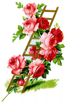 Floral Design 3 - Roses Climb Ladder