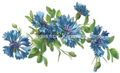 Flower Drawings 2 - Blue Garland