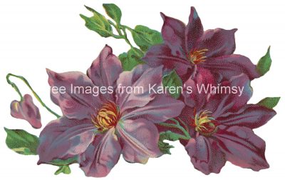 Flower Graphics 9 - Purple Flowers
