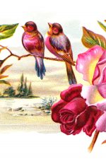 Pretty Flowers 5 - Birds Sing to Roses