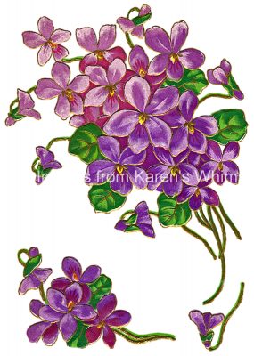 Purple Flowers 2 - Sprigs of Violets