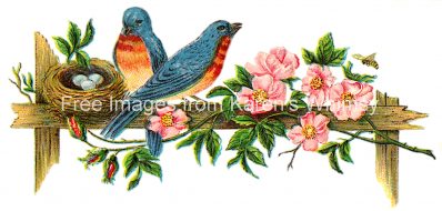 Spring Flowers 2 - Blue Birds and Roses