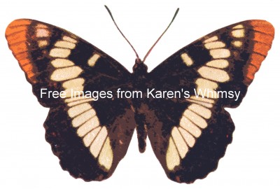 Butterfly Clipart 6 - Lorquin's Admiral