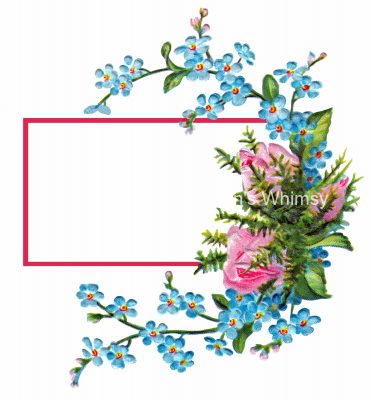 Flower Frames 1 - Pink and Blue Flowers