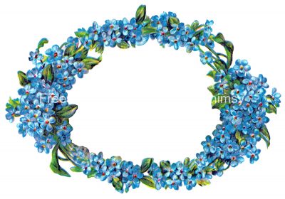 Flower Frames 6 - Blue Oval