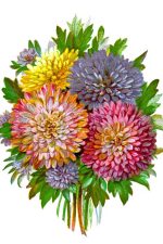 Free Flower Clipart 1 - Purple, Pink and Yellow Asters