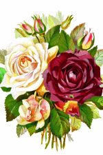 Free Flower Clipart 5 - Red and Peach Roses with Buds