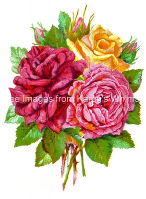 Free Flower Clipart 2 - Pink,Yellow and Red Roses