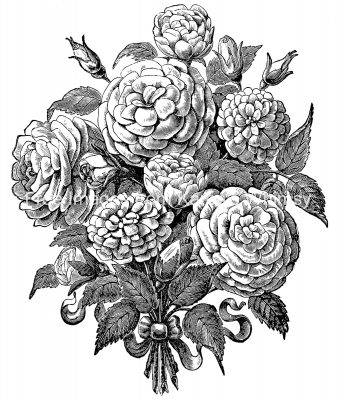 Rose Images 6 - Rose Bouquet