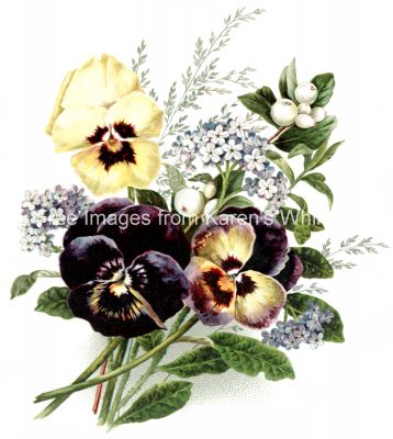 Drawings of Flowers 4 - Purple Pansies