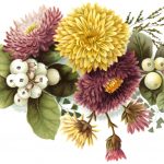Floral Pictures 6 - Plum and Yellow Mums