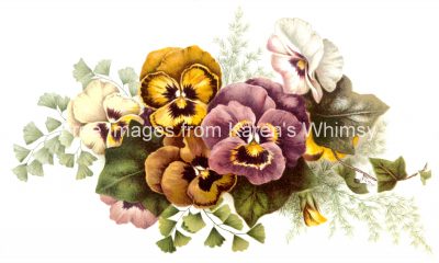 Floral Pictures 1 - Pansies and Ivy
