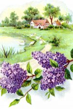 Spring Clipart 2 - Lilac Blossoms