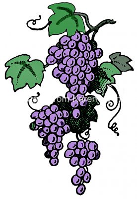 Grape Clipart 2
