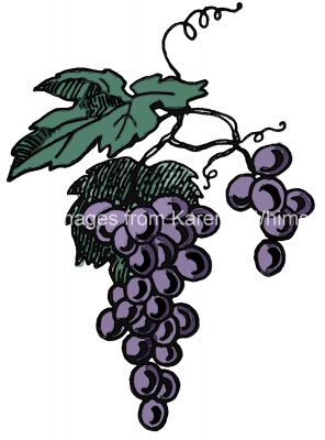 Grape Clipart 4