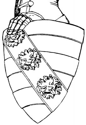 Free Coat of Arms 6 - Shield with Lion Heads