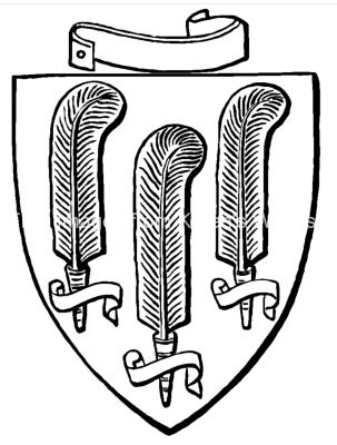 Family Crest Coat of Arms 4