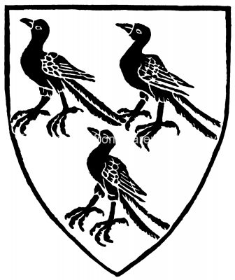 Family Crest Coat of Arms 6